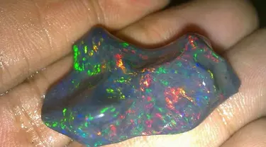 Sebongkah batu opal indah nan langka yang paling spektakuler di dunia akan segera dipamerkan. 