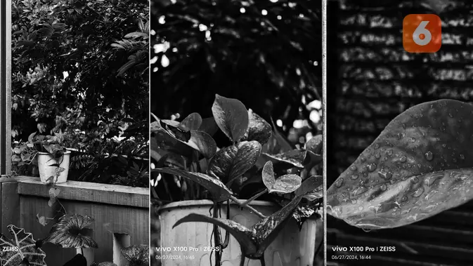 <p>Hasil kamera Vivo X100 Pro untuk memotret dengan mode B/W (Liputan6.com/ Agustin Setyo Wardani)</p>