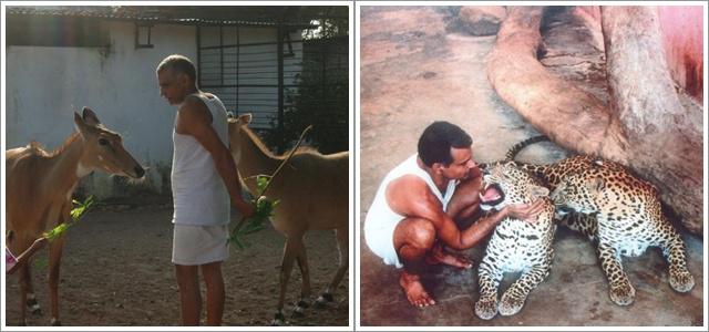 Dr. Prakesh dan hewan-hewan peliharaan yang pernah diselamatkannya/Copyright odditycentral.com/Dr. Prakash Amte/Facebook