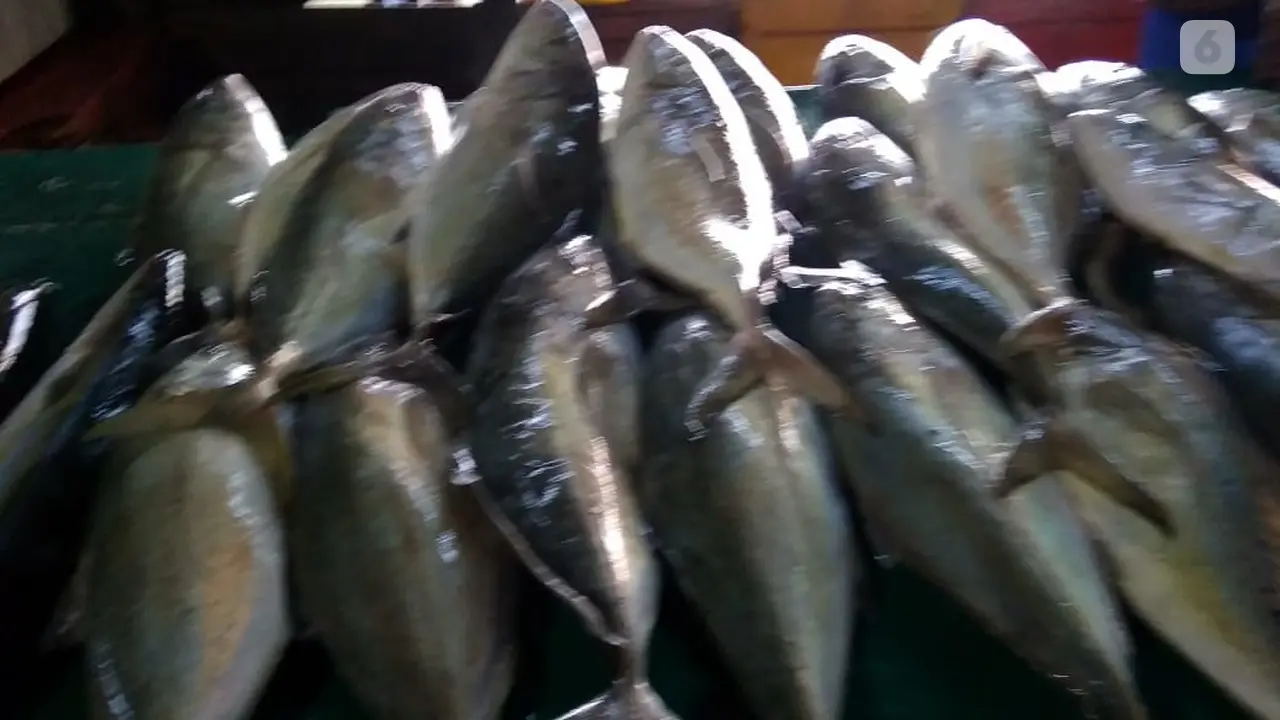 natuna