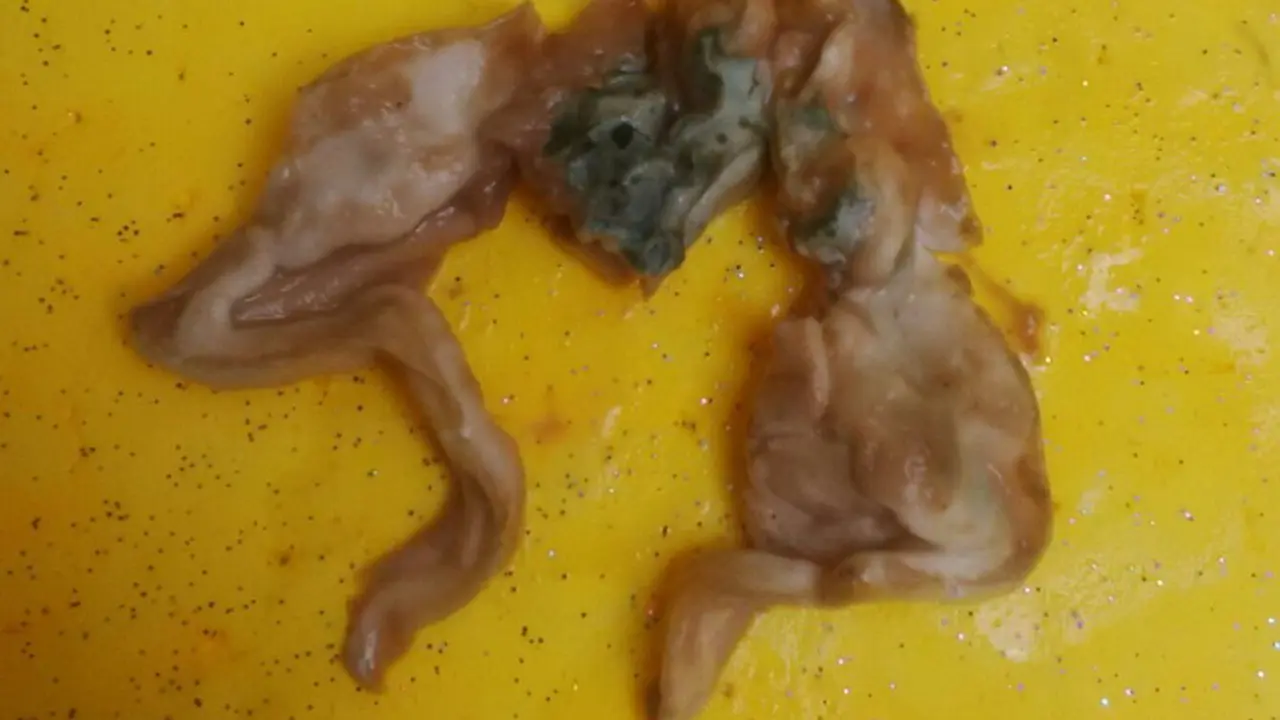 Penemuan Kaki Kodok dalam Susu Kemasan Gegerkan Warga Bandung