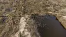Foto udara memperlihatkan kebun kelapa sawit yang rusak karena garam dan polusi di tepi Sungai Shatt Al-Arab, Basra, Irak, 21 Maret 2022. Basra terletak di jalur air Shatt Al-Arab yang dibentuk oleh pertemuan Sungai Tigris dan Efrat yang mengalir ke Teluk. (Hussein FALEH/AFP)