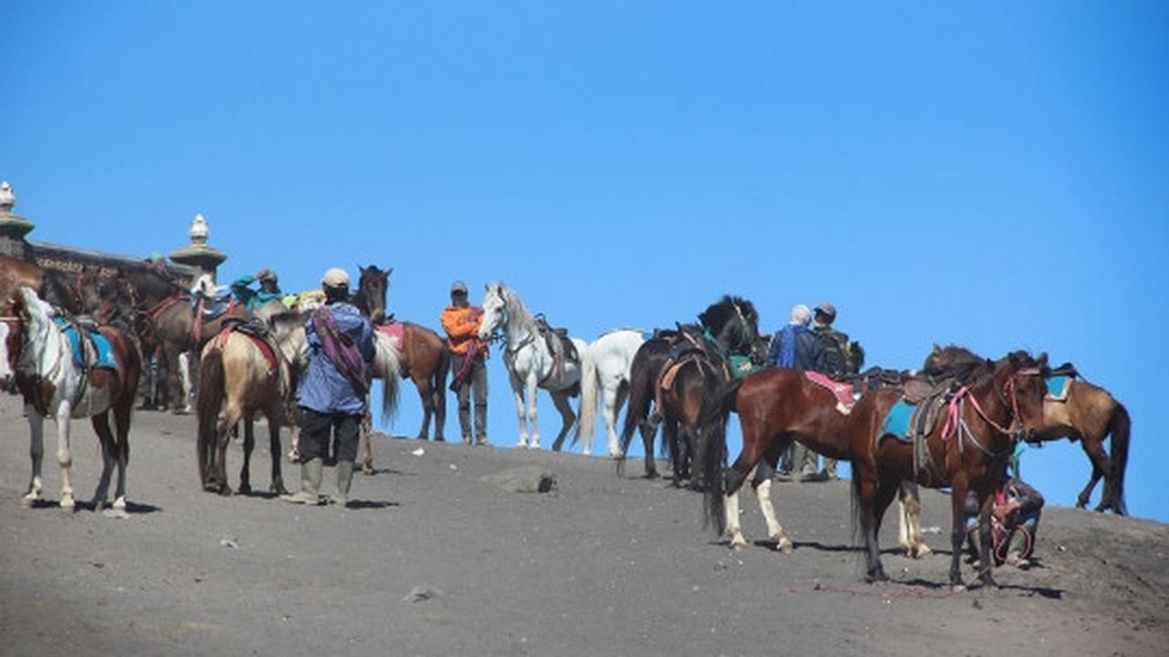 Menjelajahi padang pasir Bromo