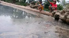 liputan6