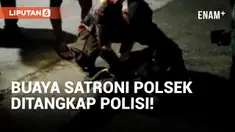 Polisi Tangkap Buaya yang Masuk ke Halaman Kantor Polsek Mimika Timur