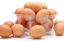 7 Resep Telur Praktis untuk Menu Sehari-hari, Lezat dan Mudah Dibuat