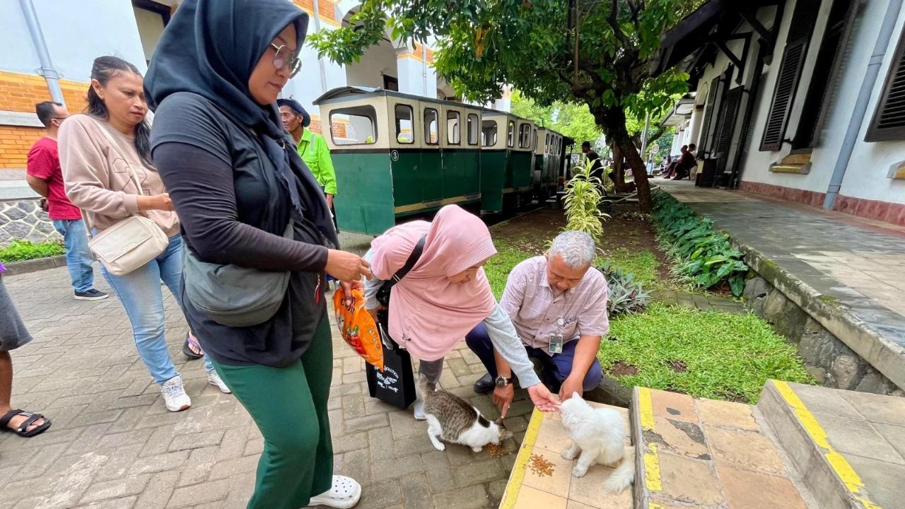 Heboh Kabar Pembuangan Kucing di Lawang Sewu, Manajemen Buka Suara