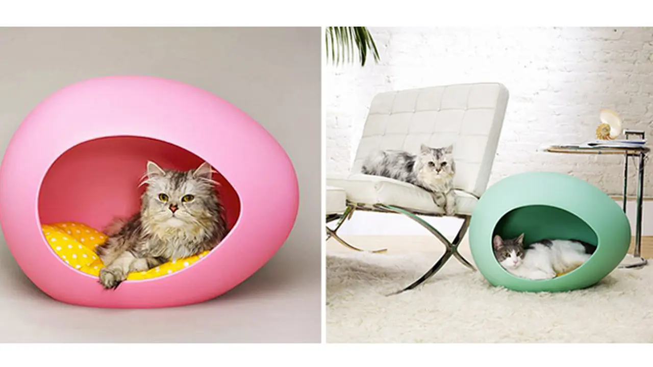 Manjakan Kucing Peliharaan dengan Perabot Berdesain Unik