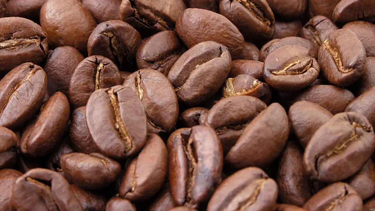 Kopi Dapat Jadi Bahan Bakar Alternatif?