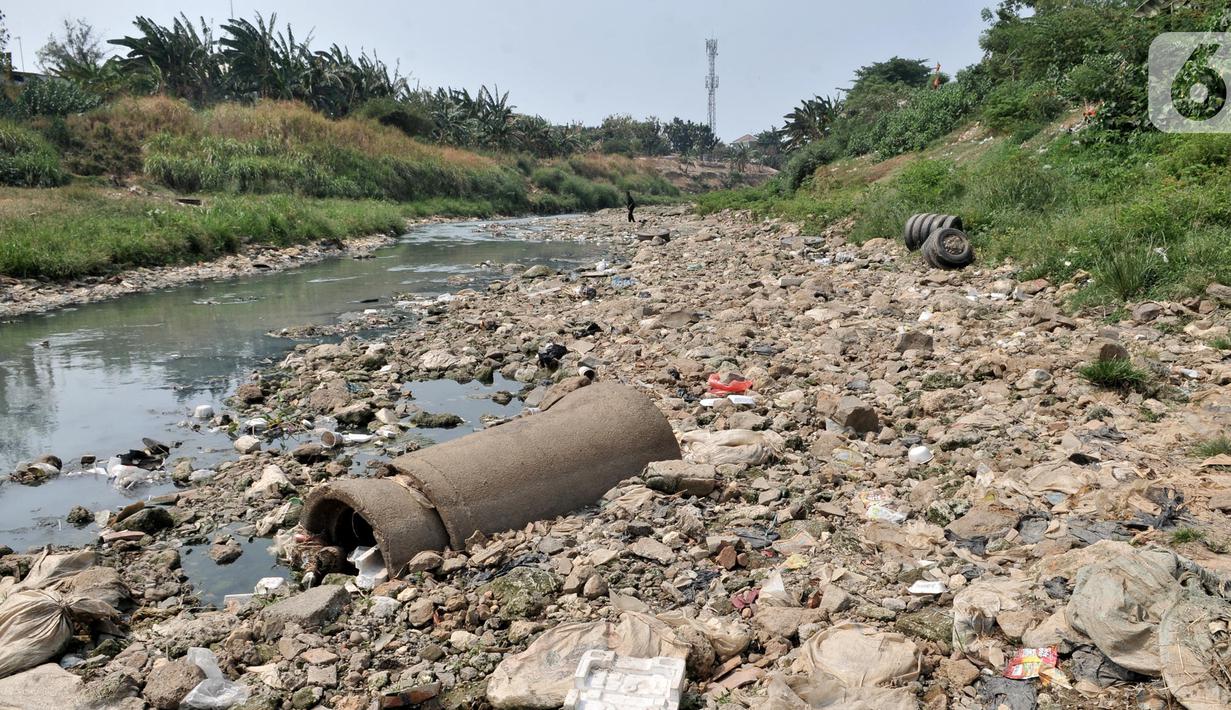 Pemandangan aliran Kali Bekasi yang menyurut di kawasan Margahayu, Bekasi, Jawa Barat, Selasa (8/10/2019). Menurunnya debit air mengakibatkan banyak ikan mati dan rawan tercemar limbah karena Kali Bekasi menjadi sumber air baku utama bagi PDAM Tirta Patriot. (merdeka.com/Iqbal Nugroho)