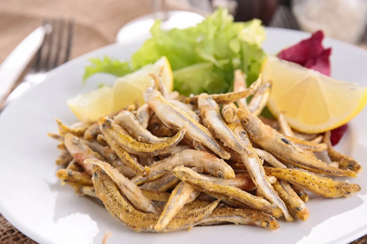 tips ikan teri
