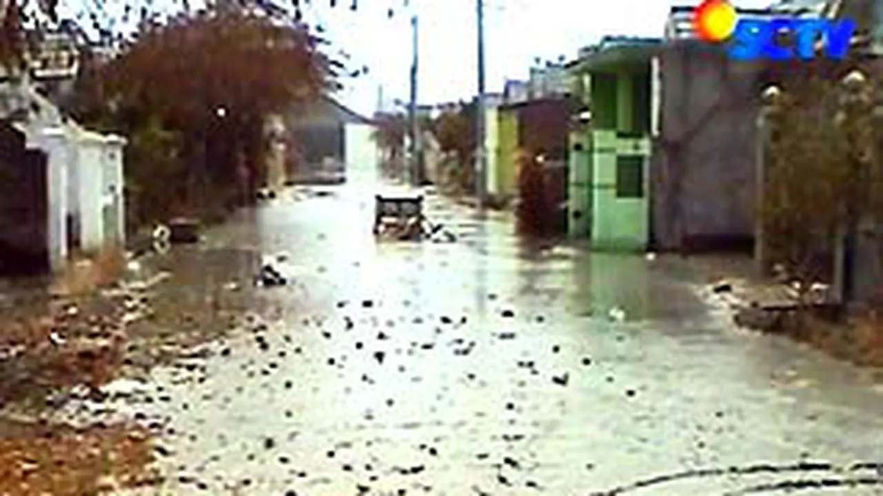 101206alapindo.jpg