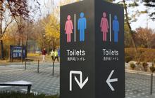 8 Toilet Unik di Seluruh Dunia, dari yang Futuristik sampai yang Instagramable Banget Bikin Betah di Toilet