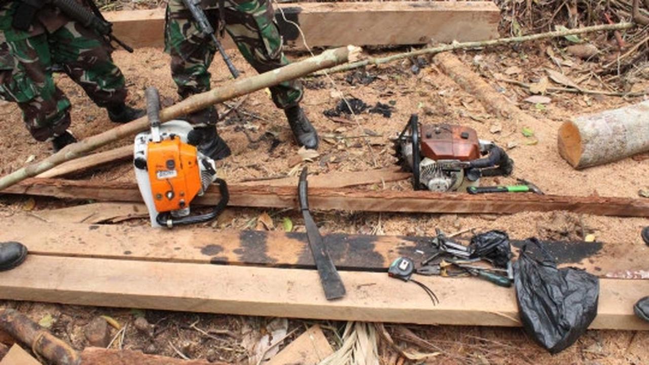 Aksi Marinir gagalkan illegal logging di Taman Nasional Sembilang