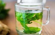 Cara Membuat Rebusan Daun Herbal untuk Atasi Asam Urat