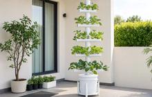 Cara Membuat Menara Hidroponik Bertingkat untuk Lahan Sempit, Solusi Hemat untuk Urbanfarming