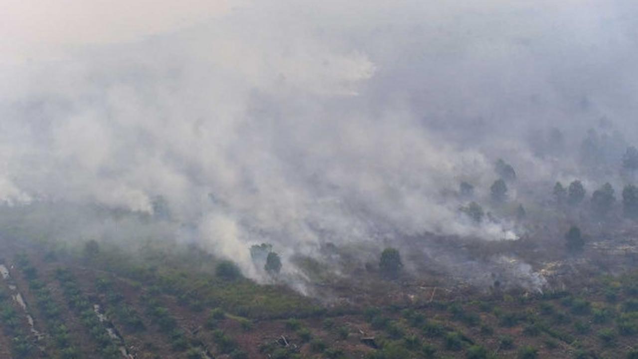 Ini foto mengerikan asap kebakaran hutan Riau dari udara