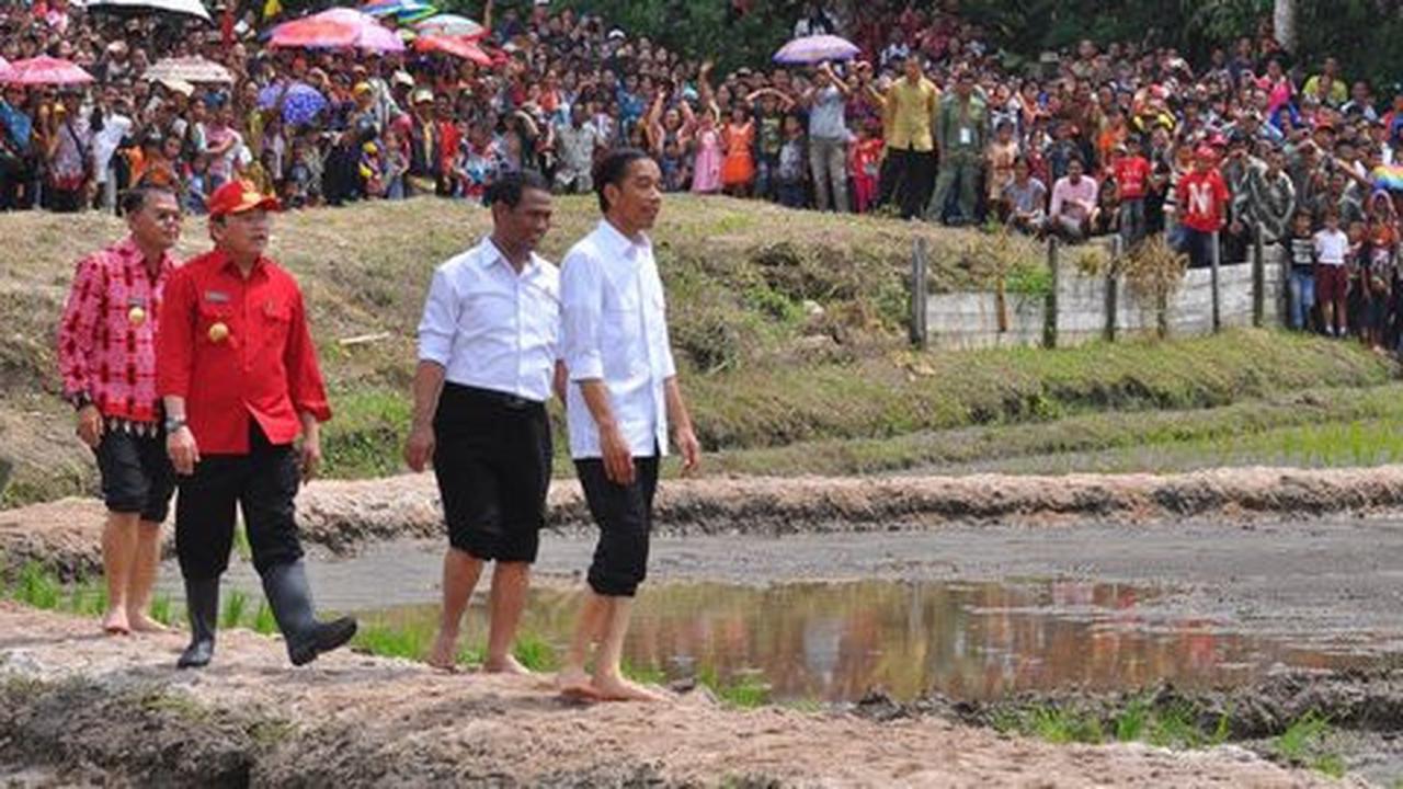 JK wacanakan impor beras, mentan tunggu instruksi Presiden Jokowi