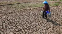 Menteri PU Turun ke Lapangan, Temukan Laporan Kekeringan Tak Sesuai Kondisi