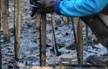 Mitigasi Dampak Perubahan Iklim, Patra Jasa Garap Program Pertamina Foundation di Pulau Bira