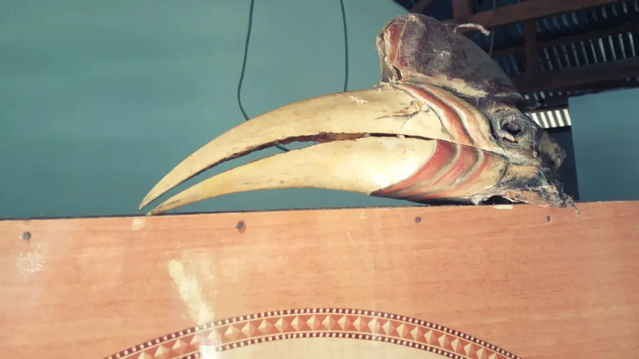 Burung Rangkong