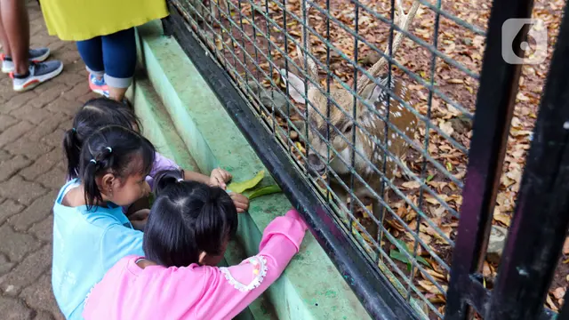 Taman Margasatwa Ragunan
