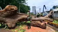 Pohon Tumbang Timpa Lintasan MRT, Pramono: Angin Kencang, Tercabut Sampai Akar