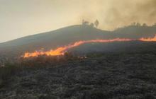 Bromo Kembali Terbakar, Kobaran Api Muncul di Area Dekat Bukit Teletubbies