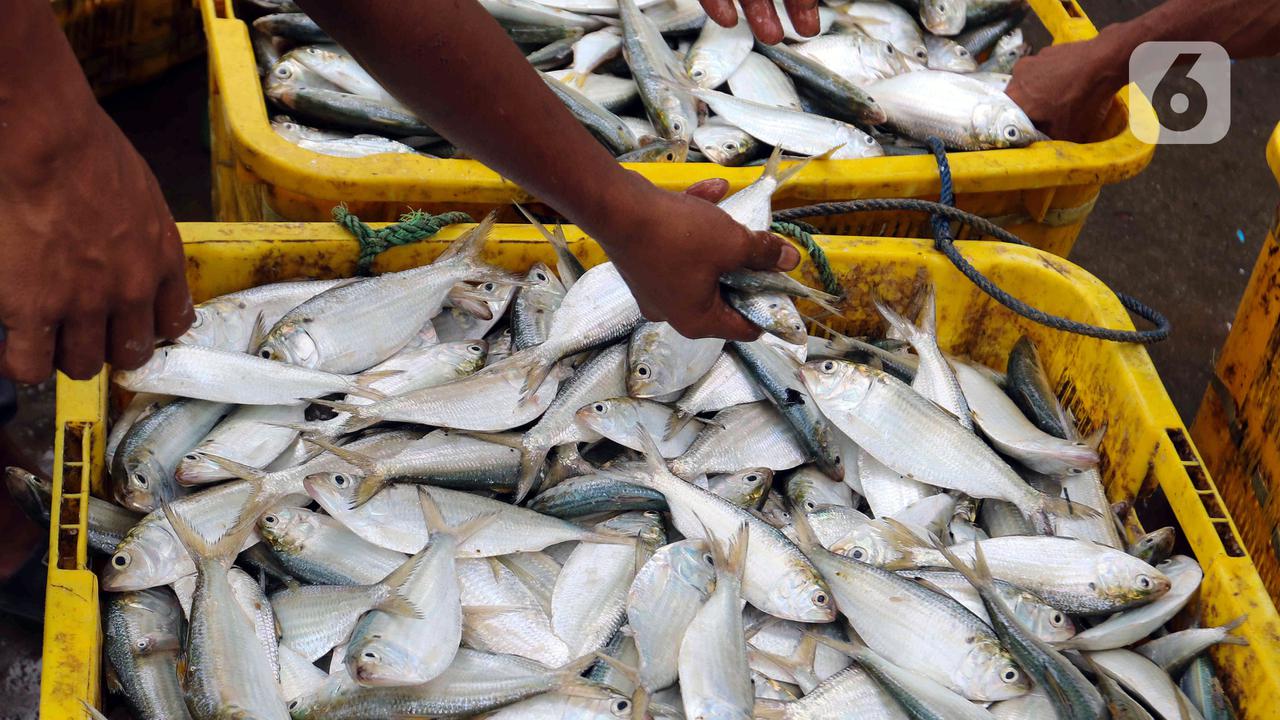 Target Ekspor Komoditas Kelautan dan Perikanan 2023