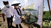 Bupati Banyuwangi Ipuk Fiestiandani membagikan bantuan rumah burung hantu kepada para petani (Istimewa)