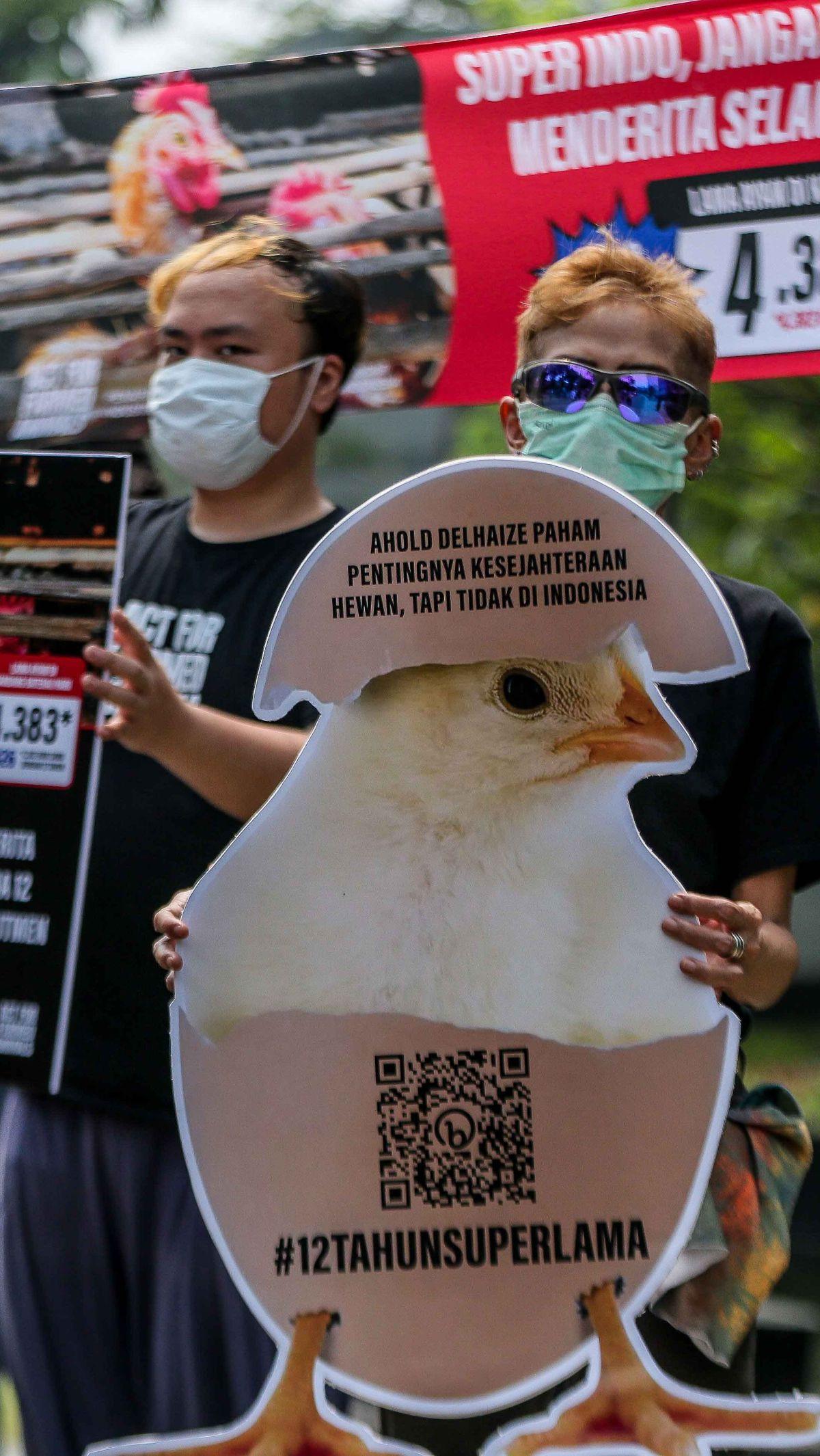 Kandang baterai dianggap sebagai salah satu praktik paling kejam dalam industri peternakan.