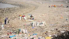 Warga membersihkan tumpukan sampah di sekitar Sungai Yangtze, Taicang, Jiangsu, Tiongkok (23/12). Pulau yang berada dekat Shanghai ini berubah menjadi lautan sampah yang diperkirakan mencapai 100 ton. (REUTERS/Stringer)