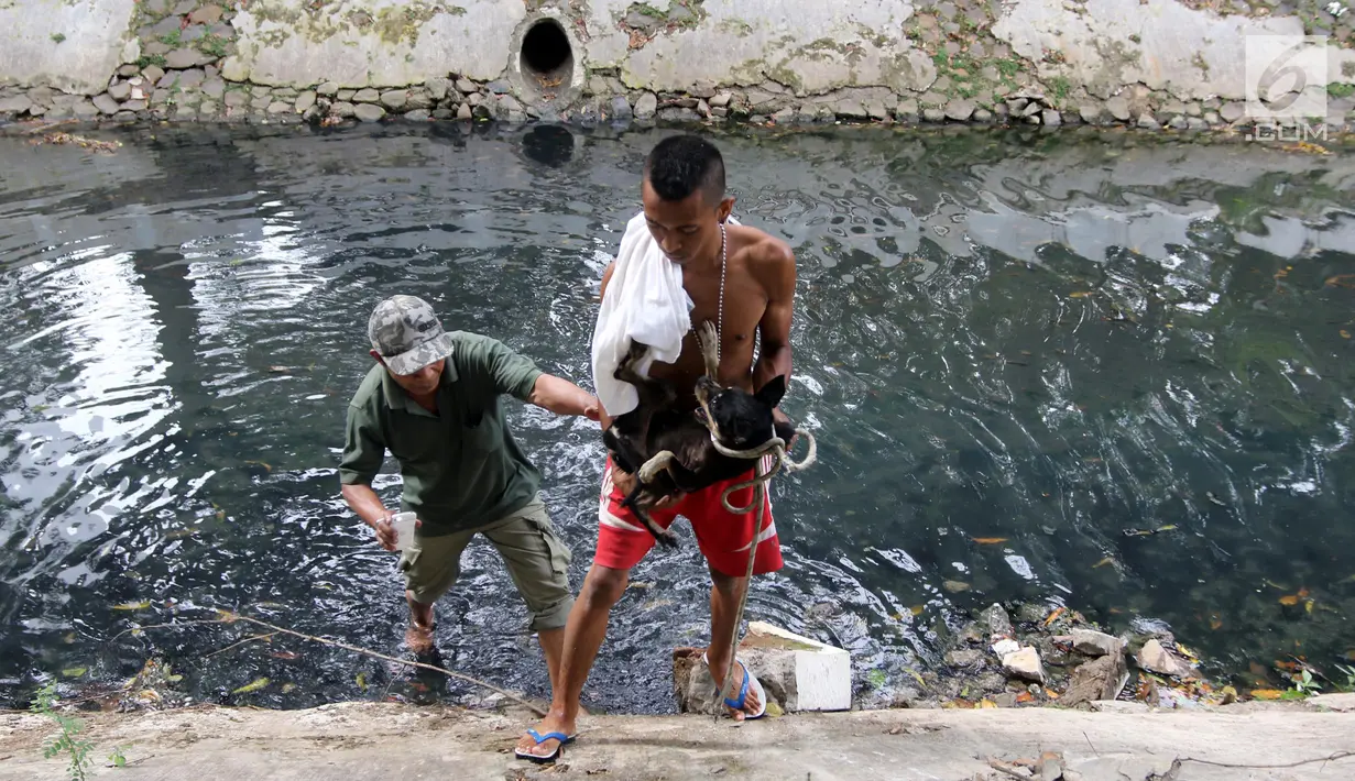 Petugas Animal Rescue membawa anjing setelah terjebak di gorong-gorong kali Gresik, Menteng, Jakarta Pusat, Rabu (23/5). Anjing ini terjebak selama 3 hari dan dibawa ke tempat penampungan. (Liputan6.com/Arya Manggala)