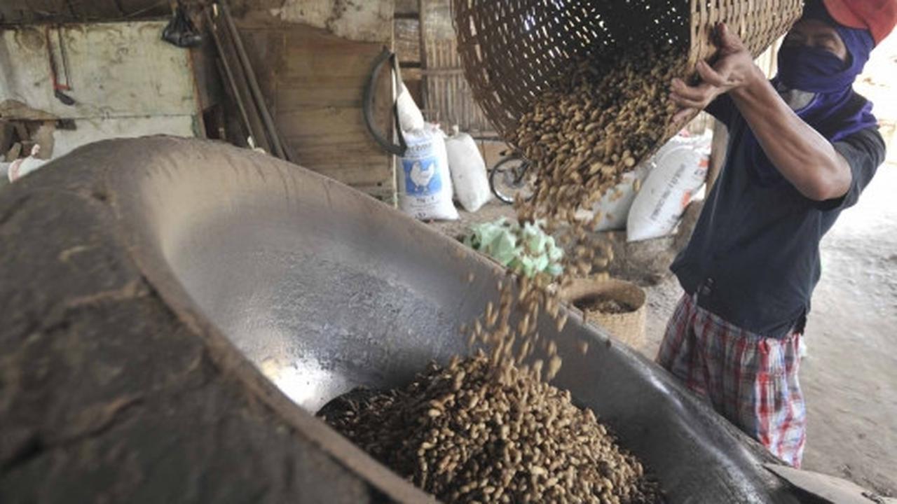 Usai Lebaran, pembuat kacang sangrai raup untung berlipat
