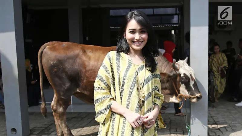 Bagi-Bagi Rezeki, Ayu Ting Ting Kurban Sapi Seberat 2,4 Ton