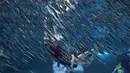 Penyelam wanita mengenakan kostum Santa Claus, berenang di tengah kerumunan ikan sarden saat melakukan aksi promosi untuk perayaan Natal, "Sardines Feeding Show with Santa Claus" di Aquarium Coex di Seoul, Korea Selatan, (17/12). (REUTERS/Kim Hong-Ji)