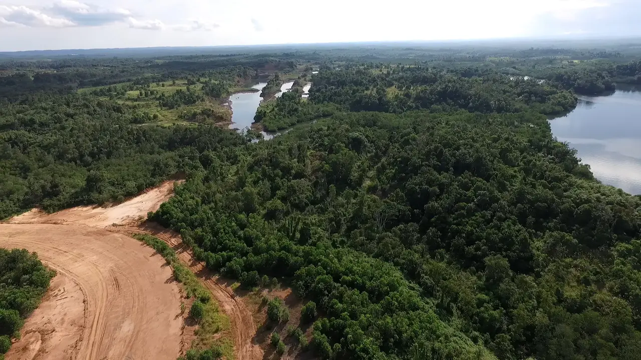 Hutan Sepaku