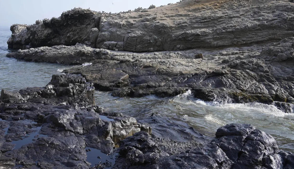 Tumpahan minyak menutupi pantai di pantai Cavero di Ventanilla, Callao, Peru, Senin (17/1/2022). Tumpahan minyak terjadi saat gelombang tsunami yang dipicu letusan gunung api bawah laut di Tonga menghantam kapal yang tengah bongkar muatan minyak ke kilang La Pampilla. (AP Photo/Martin Mejia)