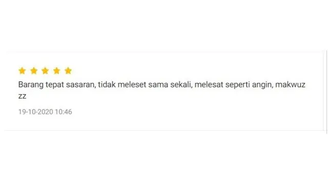 6 Review Pembeli Kasih Bintang 5 Ini Kocak, Tanggapannya Panjang Banget