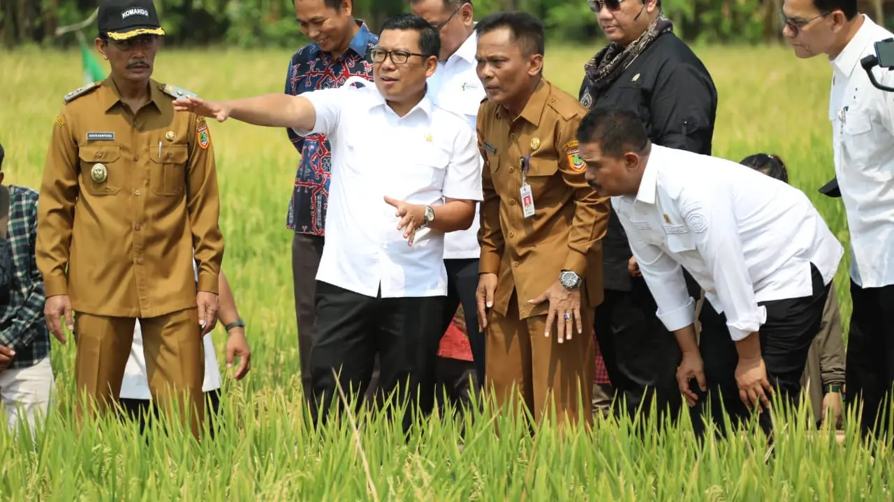Mentan Tanam Padi di Sukoharjo, Targetkan Produksi Beras 35 Juta Ton