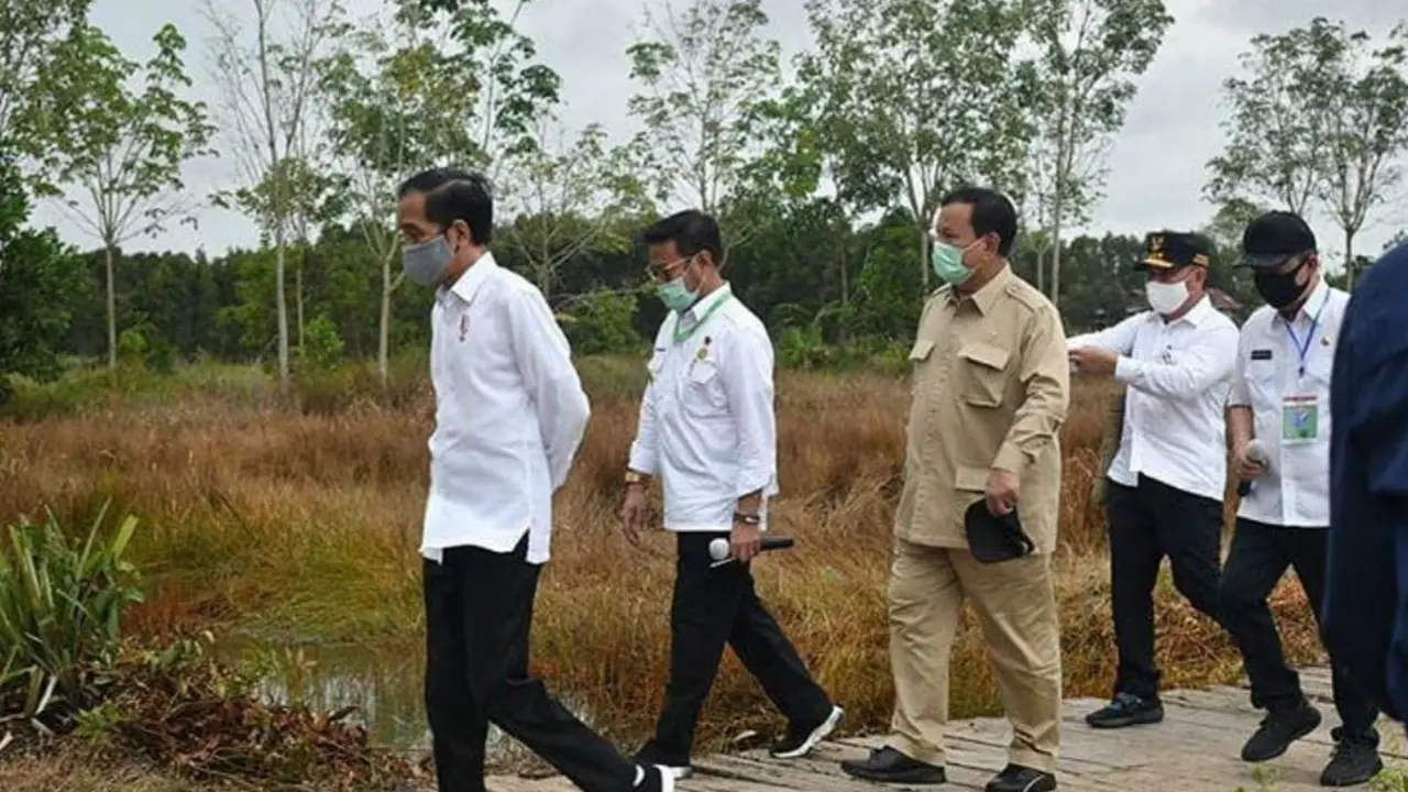 Program Food Estate di Kalimantan Selatan, Picu Antusiasme Petani Kapuas