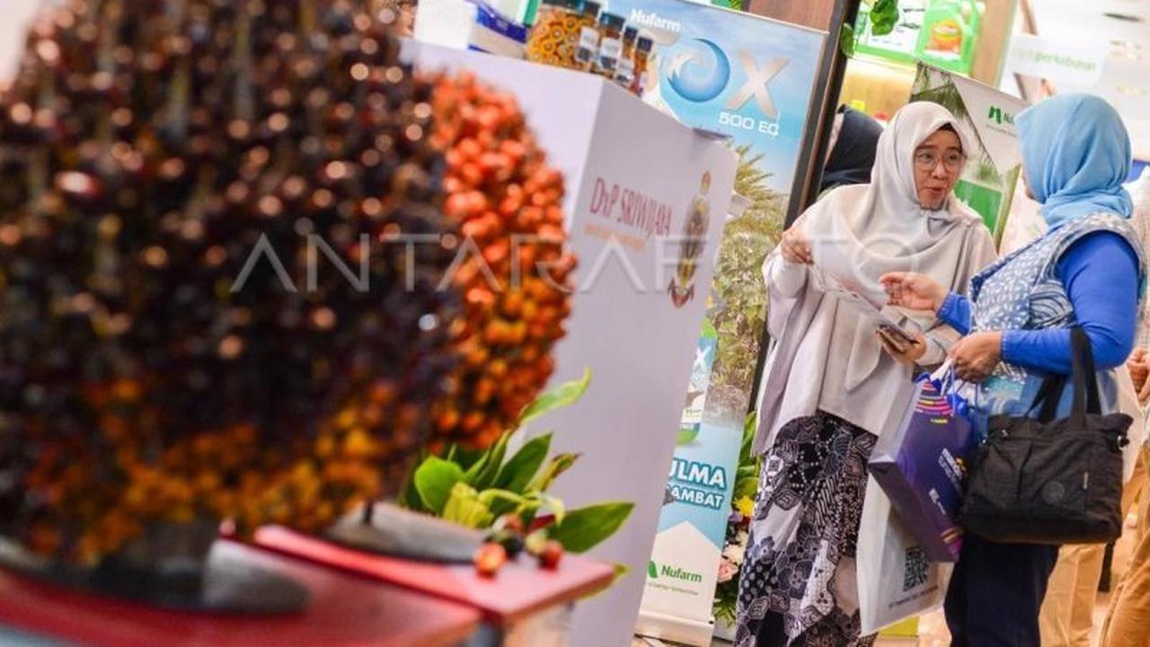 BRIN dan Agrinas Palma Perkuat Riset Sawit Berkelanjutan, Dorong Hilirisasi Industri Nasional