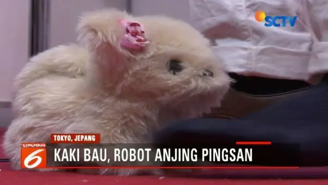 Hana-chan, robot berbentuk anjing karya Next Technology ini sensitif terhadap bau dan akan berlagak pingsan jika mencium bau kaki.