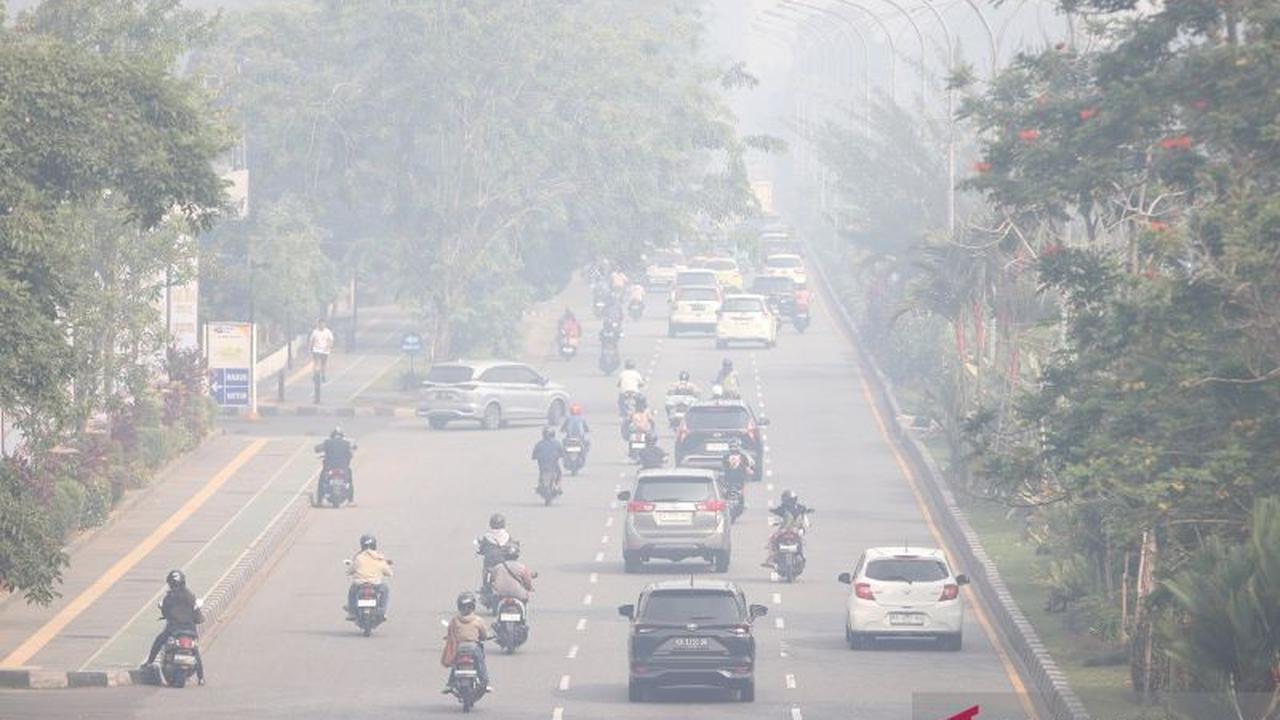 Waspada! BNPB Ingatkan Potensi Karhutla di Tengah Bencana Hidrometeorologi