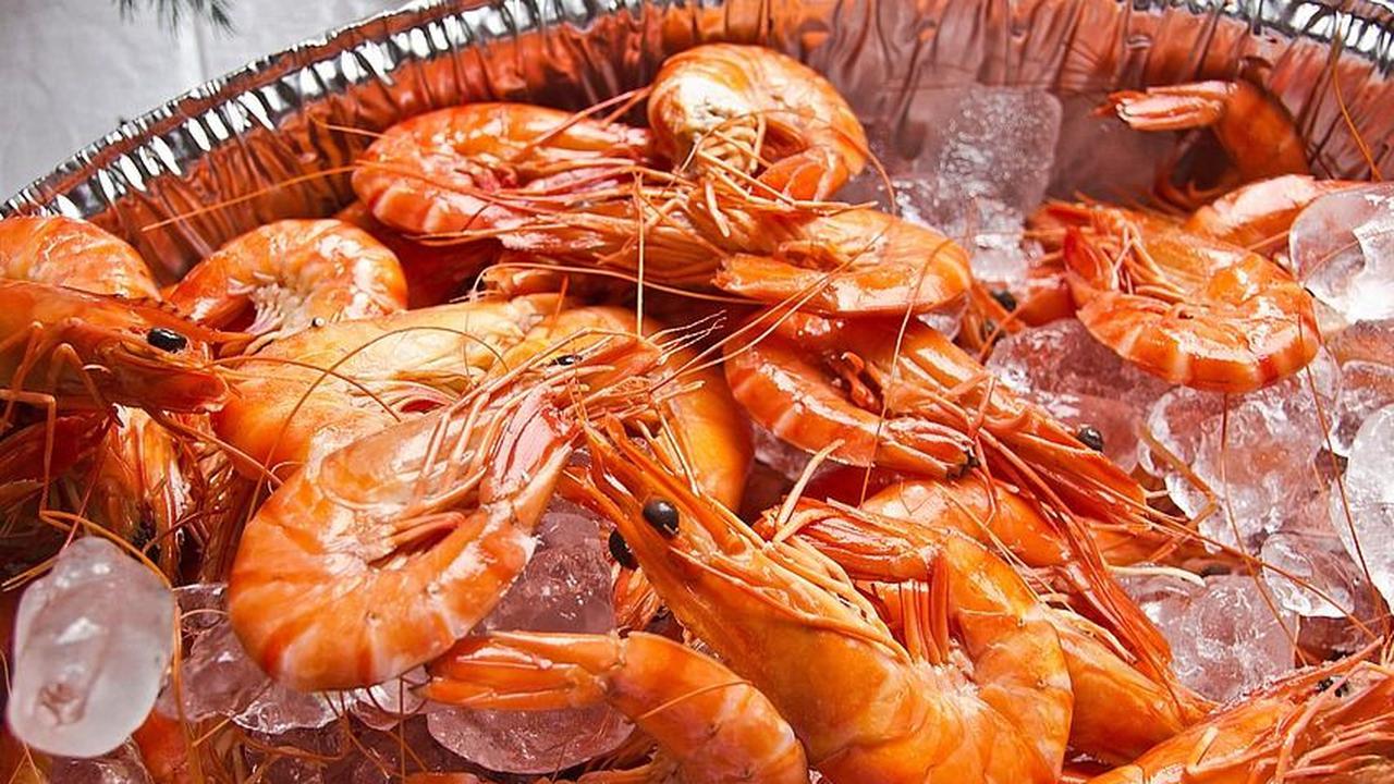 Tips Konsumsi Kulit Udang