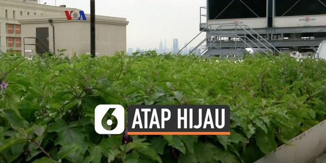 VIDEO: Asyiknya Berkebun di Atap Gedung Tinggi