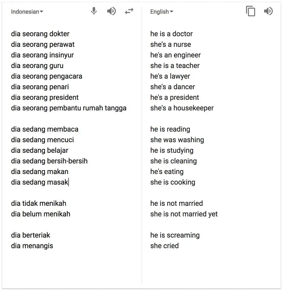 Gender bias Google translate. Source: Facebook/ DIna Utami