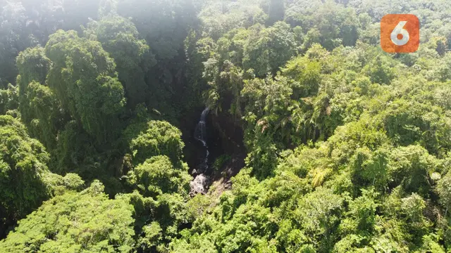 Air terjun di balik hutan