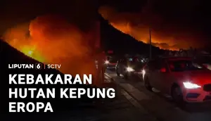 Kebakaran Hutan Kepung Eropa