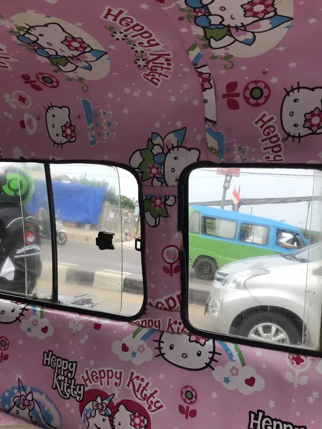 Potret Angkot Viral yang Miliki Interior Mewah, Dijamin Bikin Betah